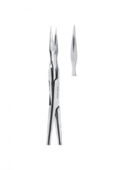 Extracting Forceps